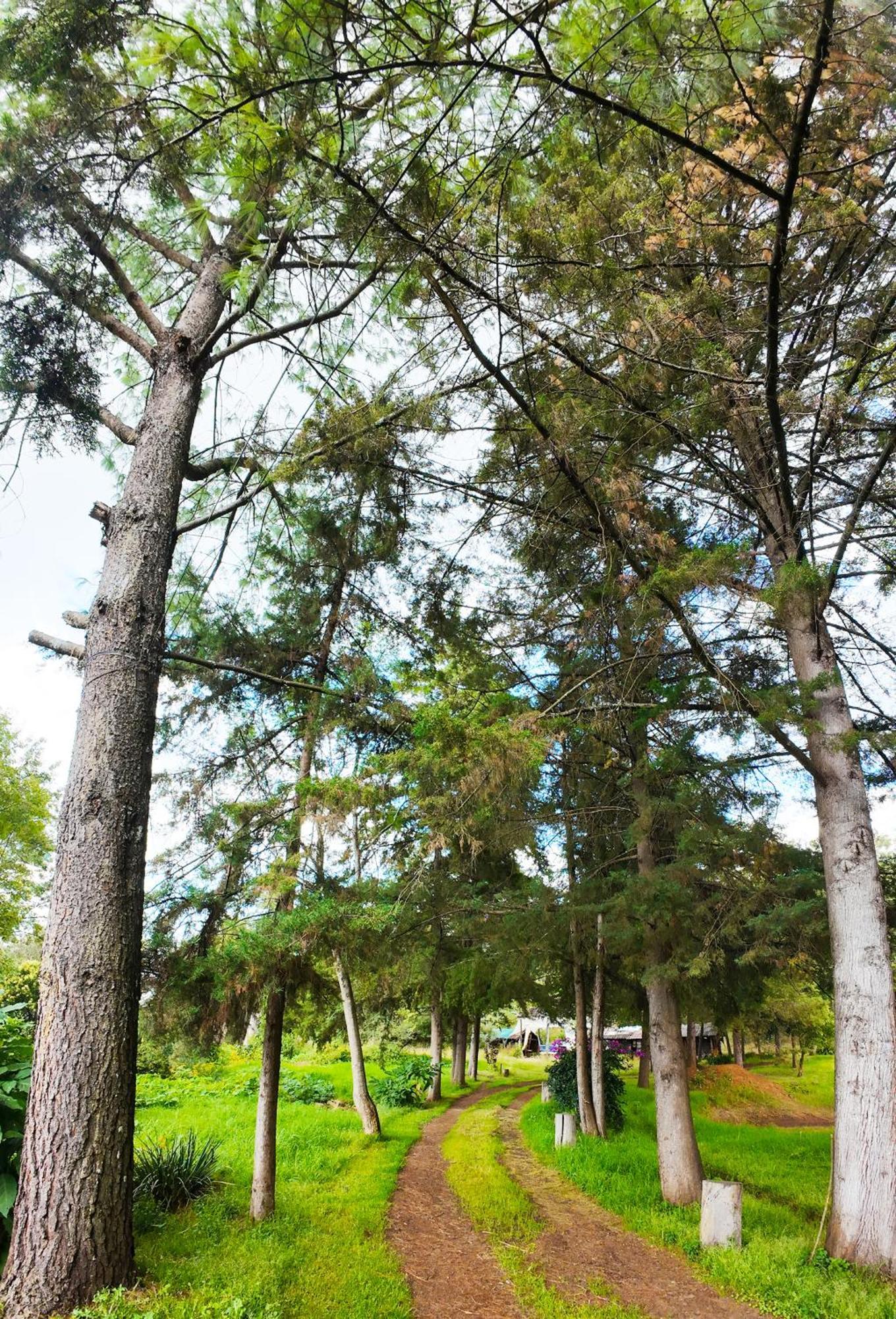 Villa Patzcuaro Garden Hotel Экстерьер фото